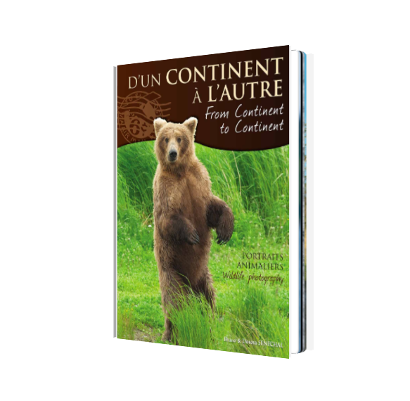 Book - From continent to continent