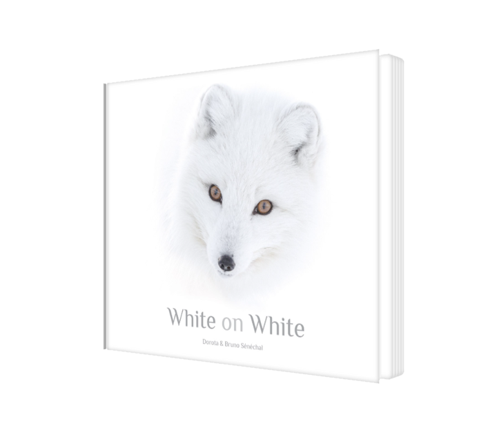 Livre - White on White - Précommande - livraisons en octobre 2023