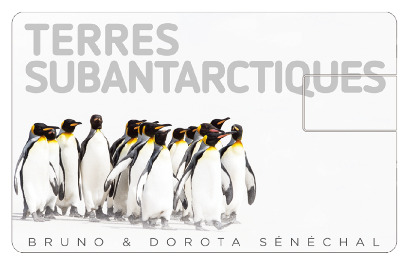 Film - Terres Subantarctiques