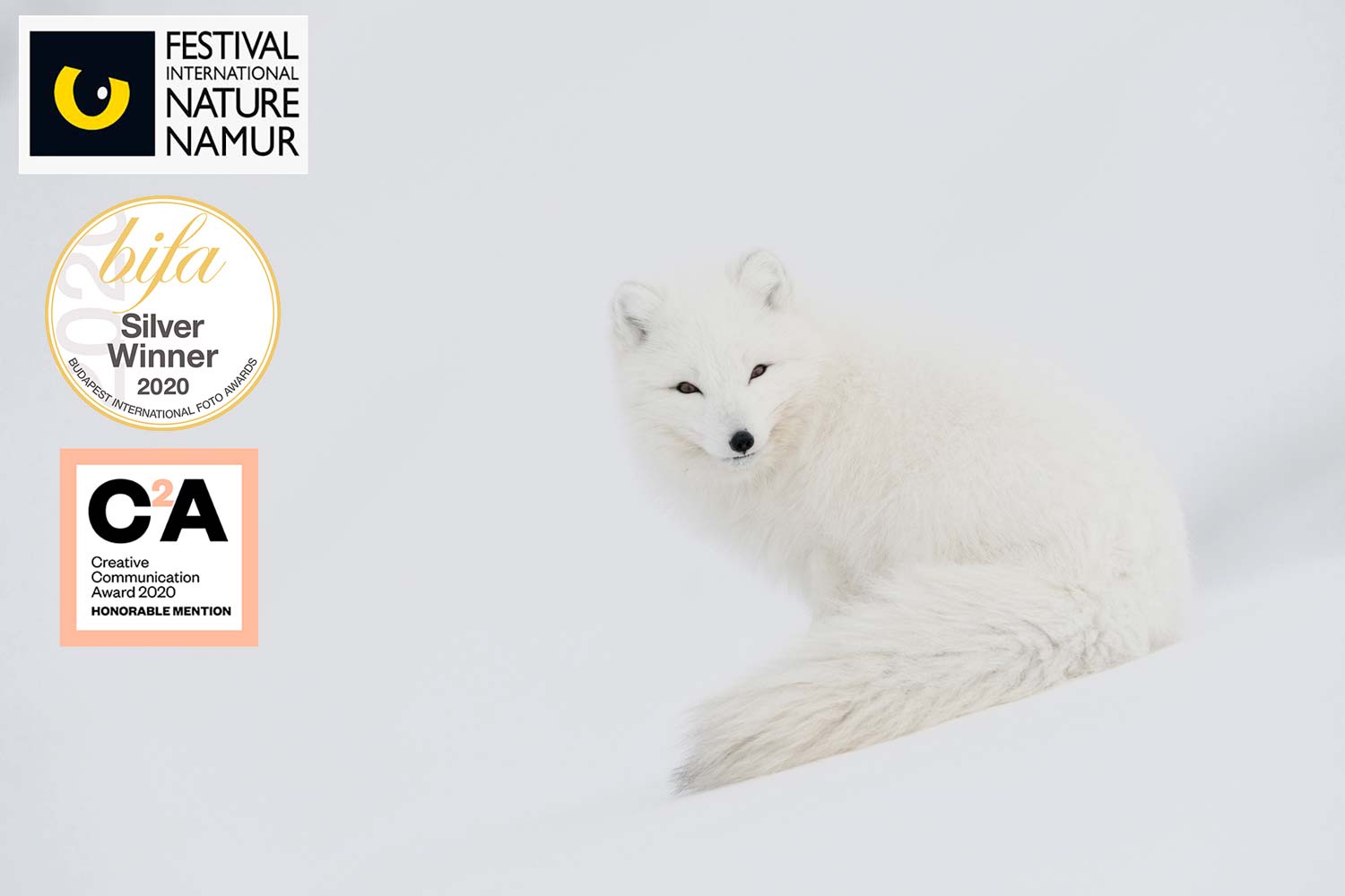 Photo de concours
