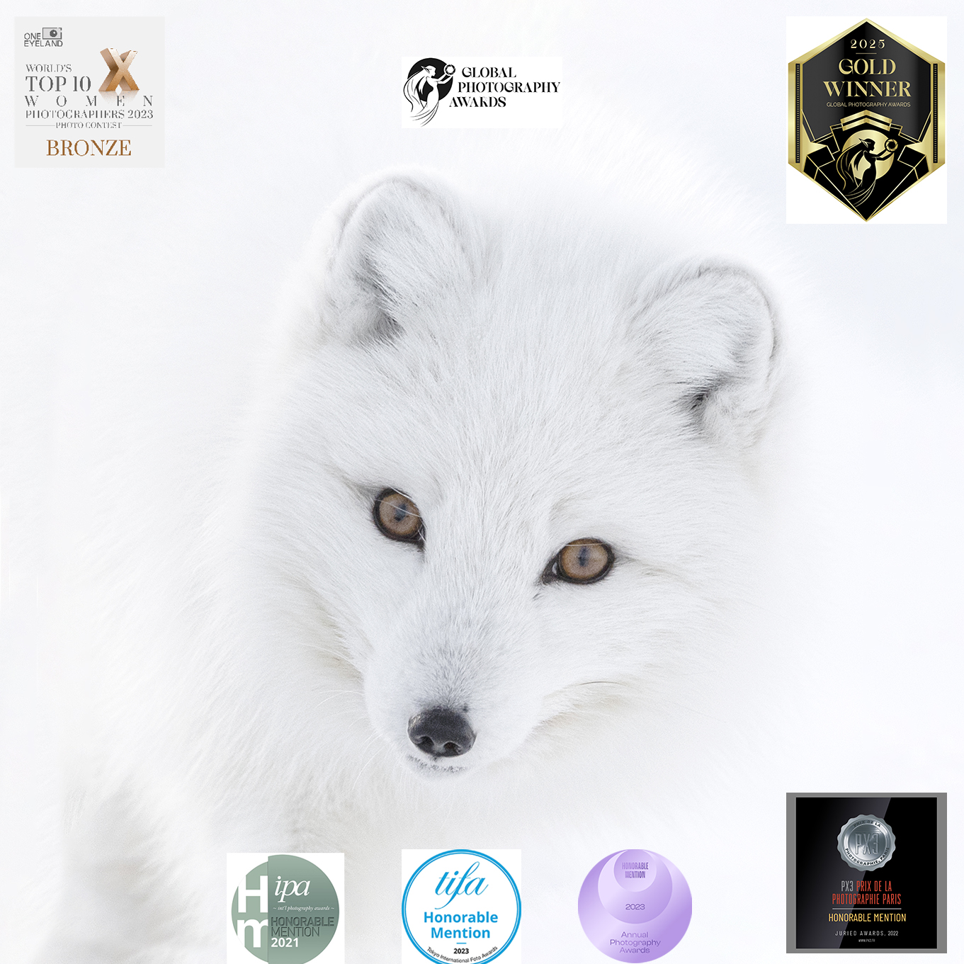 Photo contest