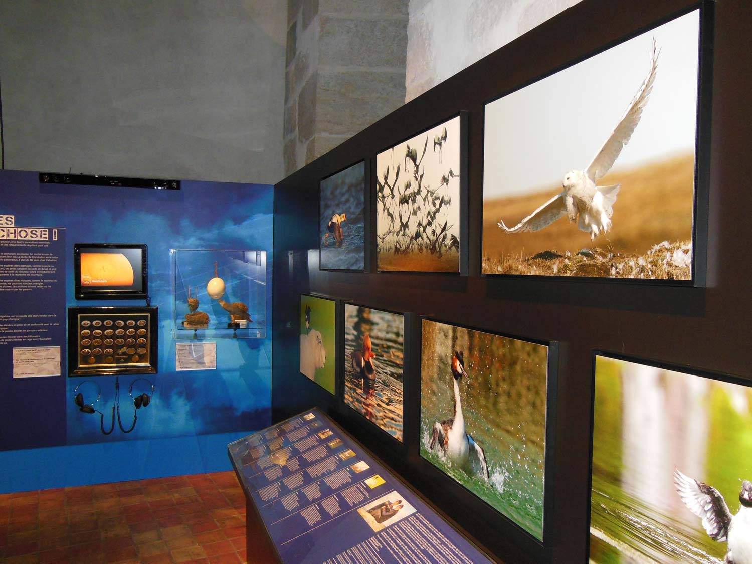 Exposition au Musée-Château d’Annecy 2014