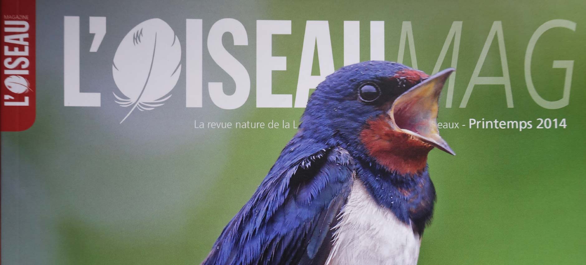 Publication “Oiseau Magazine” # 114