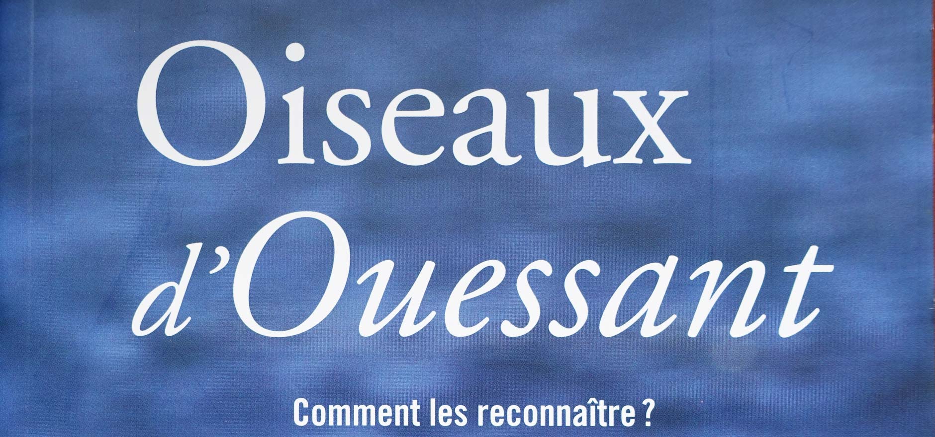 Publications in the book “Oiseaux d’Ouessant”