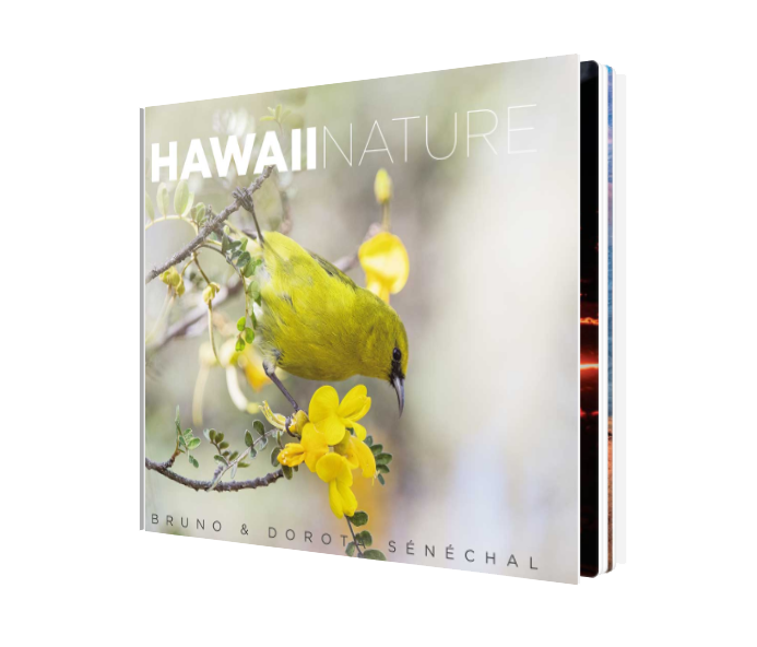 Livre - Hawaii Nature