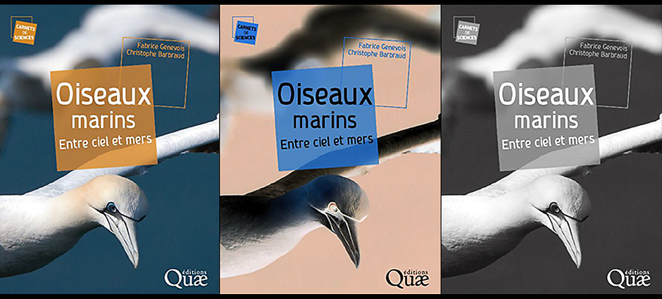 Publication in the book “Oiseaux Marins”