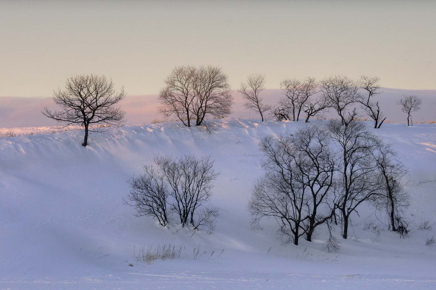 Hokkaido in winter