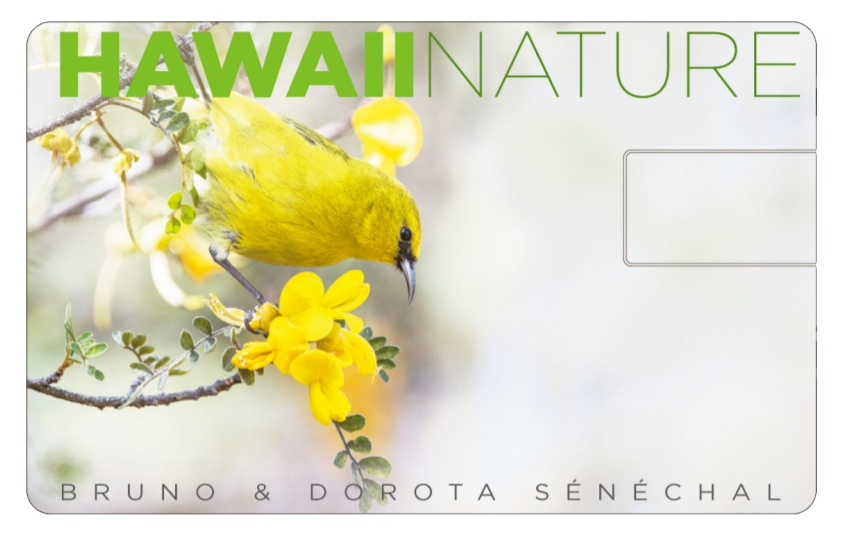 Film - Hawaii Nature